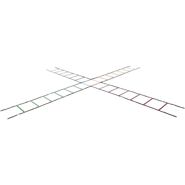 エバニュー Evernew4ショクマルチラダーロープ学校機器(ete063)