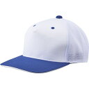 デサント DESCENTEフロントパネルキヤツプ野球 ソフトCAP(c7001-whry)