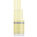 スキルズ sklzAGILITY POLES (SET OF 8)サッカーキグ(023216)