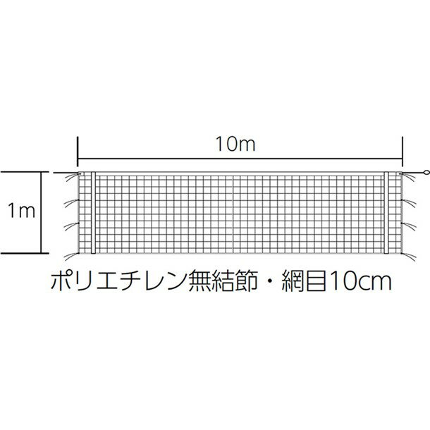 Х졼ܡͥåȡTOEI LIGHTۥȡ饤ȥХ졼ͥå(b2846)