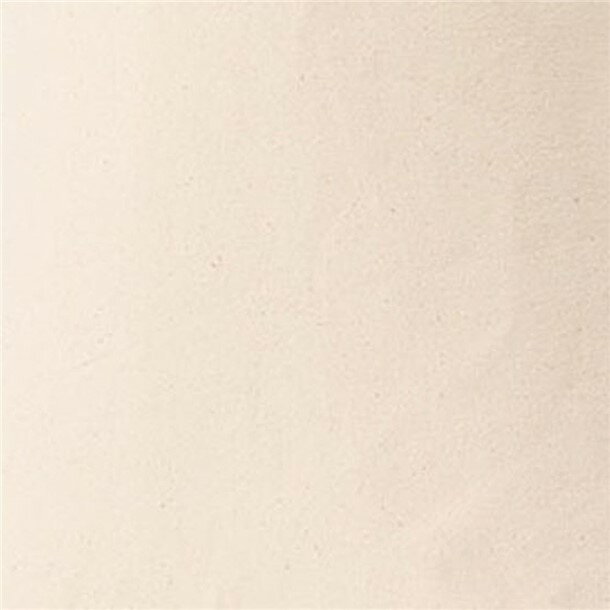 トムス tomsTCC キャンバストート Lカジュアルトートバッグ(00778nc-106)