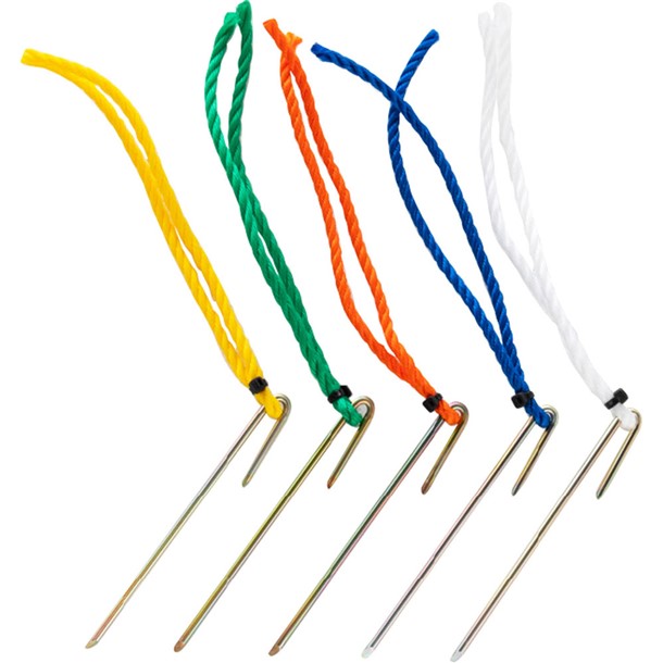 エバニュー Evernewグラウンドポイント6(10本入れ) +学校機器(eka809-500)