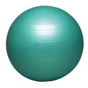 ハタ HATASバランスボールセイフティー 65cmスポーツ キグ(DB65)