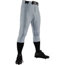 デサント(descente)シヨートフイツトパンツ野球ソフトユニフォームパンツ・M(db1134p-kslv)(4)