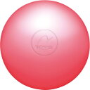 ニチヨー nichiyoチョウシバボールGゴルフ競技ボール(gg71-p)