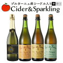 7/1限定【P10倍&食フェス300円CP】【 本場ブルターニュ産シードル&スパークリング】 辛口 甘口 4本セット 送料無料 一部除外 シードル スパークリン...