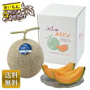 富良野メロン(特大玉) 型番Q10-8Y 商品番号633 包装不可 常温配送 配送日指定不可 お中元