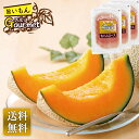 夕張メロンと「トンデンファーム」生ハム 型番Q14-3Y 商品番号626 包装不可 冷蔵配送 配送日指定不可 お中元