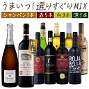 【目玉ワイン2本 合計1万5千円以上】偉大なサン・テミリオン&熟成シャンパン入り (シャンパン1本 赤5本 白3本 泡1本) 10本セット 送料無料 一部除 辛...