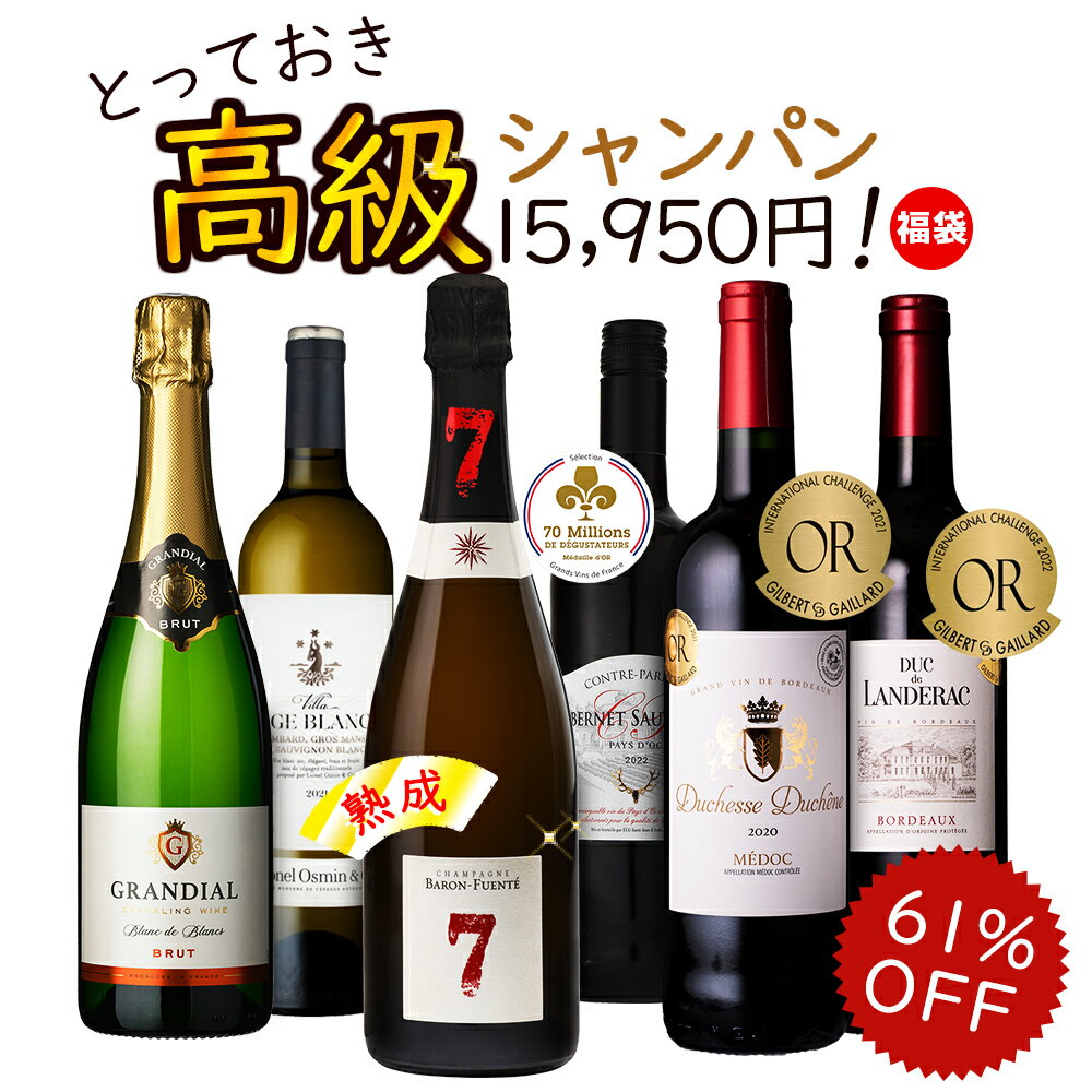 ワインセット 7年熟成シャンパン ＆ 上級ボルドー入り 銘醸地 充実ワイン 飲み比べ 6本 送料無料 一部除外 辛口 赤ワ…