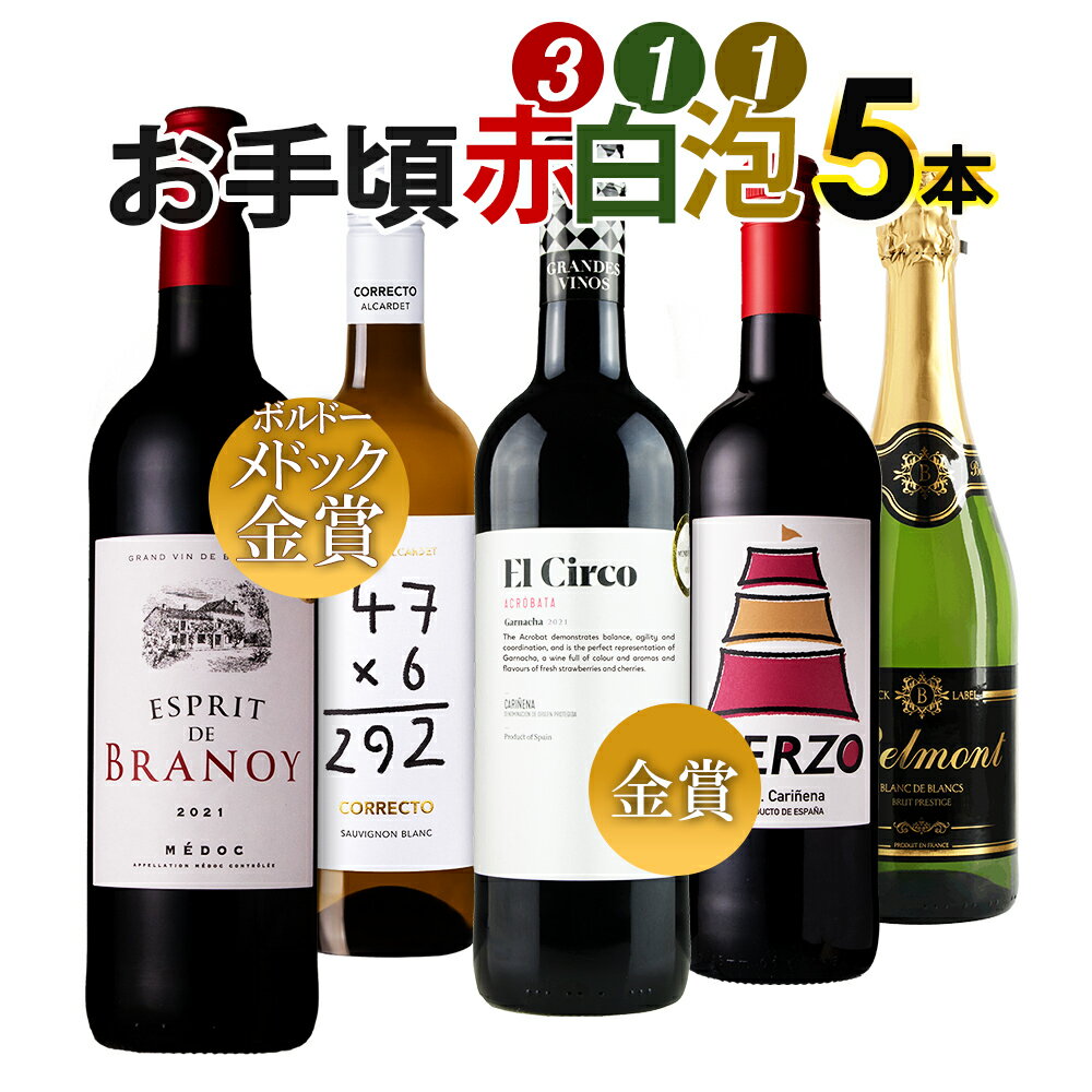 【限定5％CP 5/18】ワイン ワインセット 金賞受賞入り お手頃 赤・白・泡ワイン 5本セット 送料無料 一部除外 赤ワイン 白ワイン スパークリングワイン スペインワイン フランスワイン 【DN】