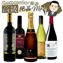 【 1万4千円以上 シャンパン入り 】ワインソムリエ厳選 高級シャンパン&格上ボルドー入り 4カ国 赤白泡 5本セット ワインセット ワイン 赤ワイン 白ワイン...