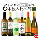 【期間中ポイント10倍 5/9 20:00-5/16 01:59】ワイン ワインセット お買い得 白ワイン わいわい楽しめる 送料無料 一部除外 辛口 6本 飲み比べ ワイン 白 チリワイン スペインワイン 金賞 福袋 【DN】