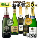 7/1限定【P10倍&食フェス300円CP】すべて辛口 お手頃ワイン スパークリングワイン 5本セット 送料無料 一部除外 辛口 スパークリングワイン ワインセ...