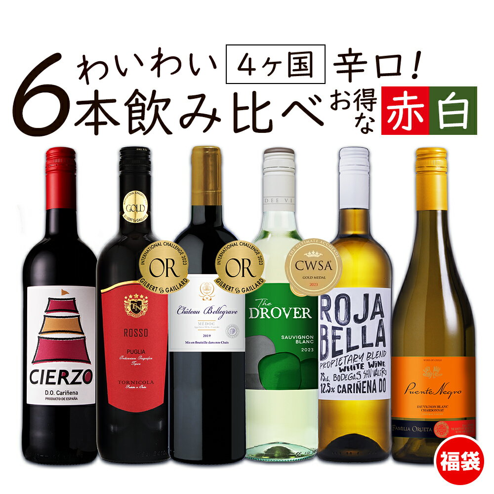 6/1限定【P10倍＆食フェス300円CP】ワイン ワインセット お買い得 赤ワイン 白ワイン わいわい楽しめる 送料無料 一部除外 辛口 6本 飲み比べ ワイン 白 フランスワイン チリワイン スペインワイン 金賞 福袋 【DN】