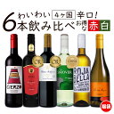 【期間中ポイント10倍 5/9 20:00-5/16 01:59】ワイン ワインセット お買い得 赤ワイン 白ワイン わいわい楽しめる 送料無料 一部除外 辛口 6本 飲み比べ ワイン 白 フランスワイン チリワイン スペインワイン 金賞 福袋 【DN】