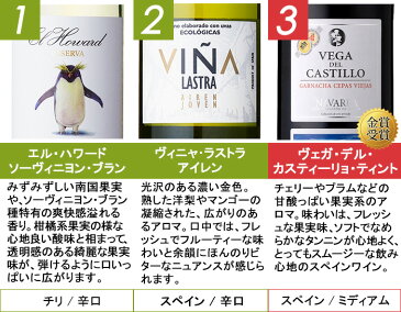 【送料無料】【おまけ付き】お手頃ワインセット 赤白10本セット (金賞受賞ワイン入り!) ワイン ワインセット 赤 白 メダルワイン