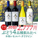 【送料無料】お手軽単一品種チリワイン飲み比べ4本セット チリワイン 赤ワイン 白ワイン 辛口 カワイイワイン 【送料無料】お手軽単一品種チリワイン飲み比べ4本セット チリワイン 赤ワイン 白ワイン 辛口 カワイイワイン