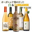 オーガニックのお酒集めました ビオワイン 白＆泡 バラエティ 5本セット 送料無料 一部除外 辛口 白ワイン スパークリング 自然派 自然派ワイン