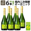 瓶内二次発酵 ワイン ヴィーガン オ