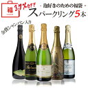 【全品P5倍 3/20限定】泡好きな方おススメ！ 金賞シャンパン入り 辛口スパークリング 5本セット 送料無料 一部除外 泡 シャンパン シャンパーニュ スパークリングワイン ワインセット スペイン フランス イタリア party