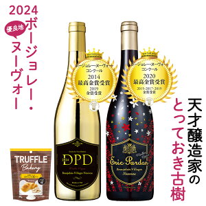 【解禁日11/18(木)お届け】【代引き不可】 送料無料 北海道・沖縄・離島除く ボジョレー ヌーボー 2021 エリックパルドン＆匠のコラボ ヴィラージュヌーヴォーVV セット ヴィラージュ・ヌーヴォー2本セット ボジョレー ヌーヴォー フランスワイン ボジョレーヌーボー2021