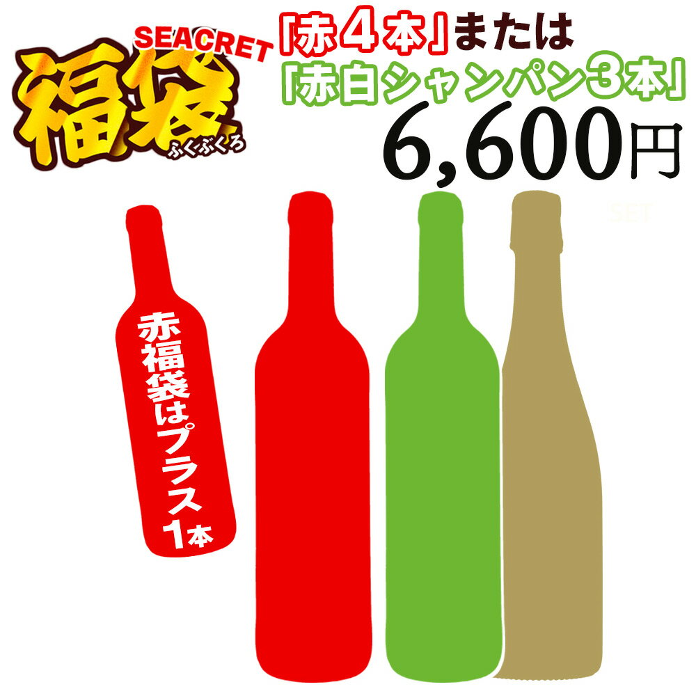 決定版 ワイン福袋 選べる2種類 赤4本 又は シャンパン＆赤＆白3本 ワイン ワインセット 福袋 赤ワイン 白ワイン 泡 シャンパン お楽しみセット 辛口【送料無料 一部除外】