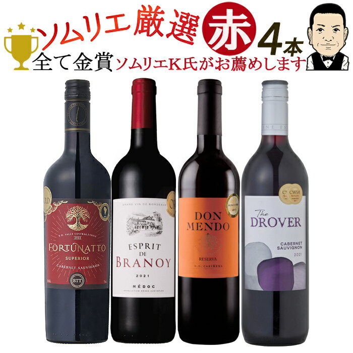 【限定5％CP 5/18】ワインソムリエおすすめ お手頃チョイス 赤ワイン バラエティ4本セット 送料無料 一部除外 フランス スペイン オーストラリア ドイツ 辛口 ソムリエ厳選 ソムリエセット フルボディ