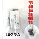 【送料無料】 高知県仁淀川町産 天然 乾燥ぜんまい 10g 2023年採れ ぜんまい 山菜 国産 通販 ビバ！ぜんまい