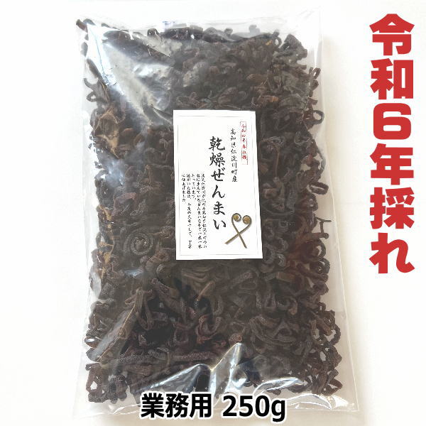 【送料無料】　高知県仁淀川町産　天然　乾燥ぜんまい　業務用 250g　2024年採れ　ぜんまい　山菜　国産　通販　ビバ！ぜんまい