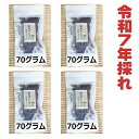 【送料無料】 高知県仁淀川町産 天然 乾燥ぜんまい 280g 2025年採れ ぜんまい 山菜 国産 通販 ビバ!ぜんまい