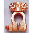 大自 バッテリーターミナル 69D マイナス