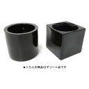 ハイミニフィットの鉢 園芸 農業 園芸用品 ビバホーム