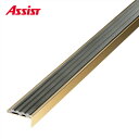 10-135S(D) 穴有 カット K-19 M売り アシスト (注文数×1M)(1本最長2mまで) 現場配送不可