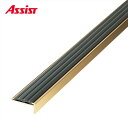 10-135S(DCK) 穴有 カット CK-19 M売り アシスト (注文数×1M)(1本最長2mまで) 現場配送不可