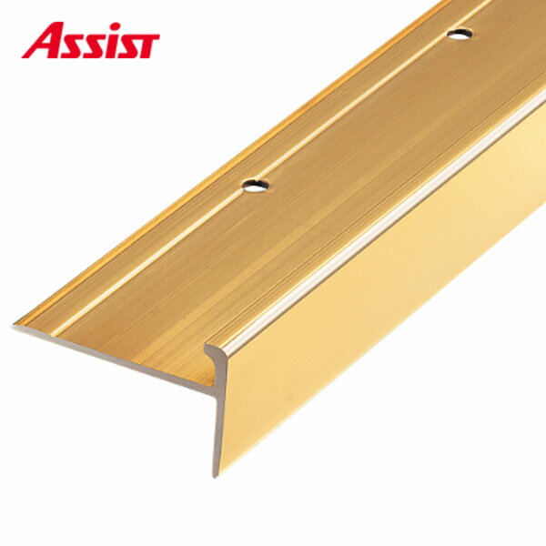 10-2080 穴有 カット M売り アシスト (注文数×1M)(1本最長2mまで) 現場配送不可