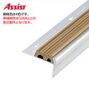 11-2130 穴有 カット K-23 M売り アシスト (注文数×1M)(1本最長2mまで) 現場配送不可