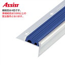 11-2130 穴有 カット K-9 (準規格色・50M以上) M売り アシスト (注文数×1M)(1本最長2mまで) 現場配送不可