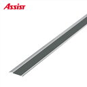 17-GHT135 穴有 カット GH-19 M売り アシスト (注文数×1M)(1本最長2mまで) 現場配送不可