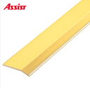 20-122-2 (1m以下は1m単価) 穴有 カット M売り アシスト (注文数×1M)(1本最長2mまで) 現場配送不可