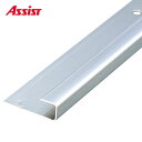 20-303 (1m以下は1m単価) 穴有 カット M売り アシスト (注文数×1M)(1本最長2mまで) 現場配送不可