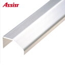 20-361-2 (1m以下は1m単価) 側面穴有 カット M売り アシスト (注文数×1M)(1本最長2mまで) 現場配送不可