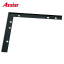 20-412LBL51 出隅 ヶ売り アシスト 現場配送不可
