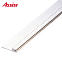 20-656 (1m以下は1m単価) 穴有 カット M売り アシスト (注文数×1M)(1本最長2mまで) 現場配送不可
