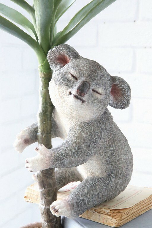 コベントガーデン シエスタ・コアラ 2セット TS-41