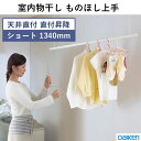 室内物干し ものほし上手 物干し上手 天井直付昇降タイプ ショート 1340mmタイプ DAIKEN ダイケン 大建工業 FQ0402-2N 送料無料