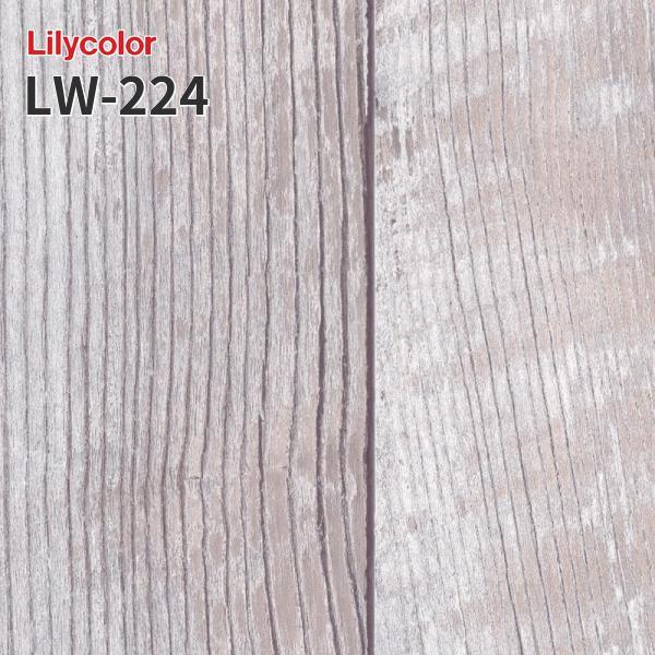 LW-224 Τʤɻ WILL ꥫ  佤