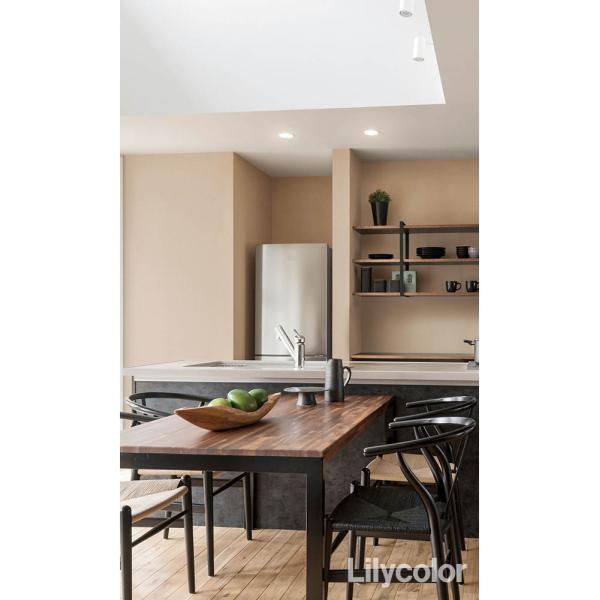 LW-684 のりなし壁紙 WILL リリカラ 賃貸 補修