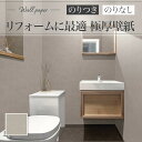 XR-659 壁紙 おしゃれ diy 賃貸 リフォーム 貼替 リビング リリカラ XRクロス のりなし のり付き