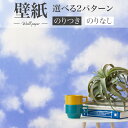 BA7442 カジュアル壁紙 空 雲 青 水色 キッズスペース シンコール ビックエース クロス のり付き のりなし 1m単位販売